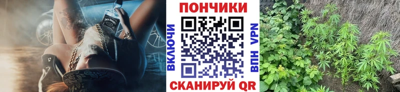 блэк спрут ссылка что такое Сибай Канабис THC 21%